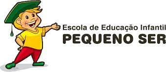Escola de Educação Infantil Pequeno Ser